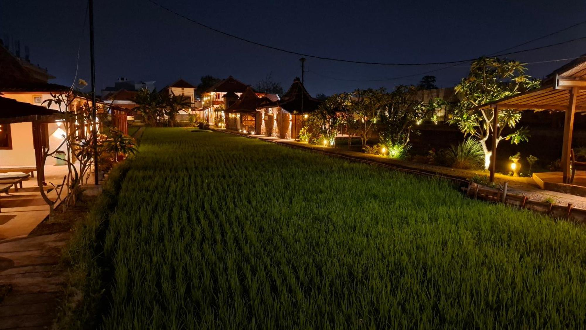 Alamanda Family Villas, Pool & Local Tours Jogjacarta Exterior foto