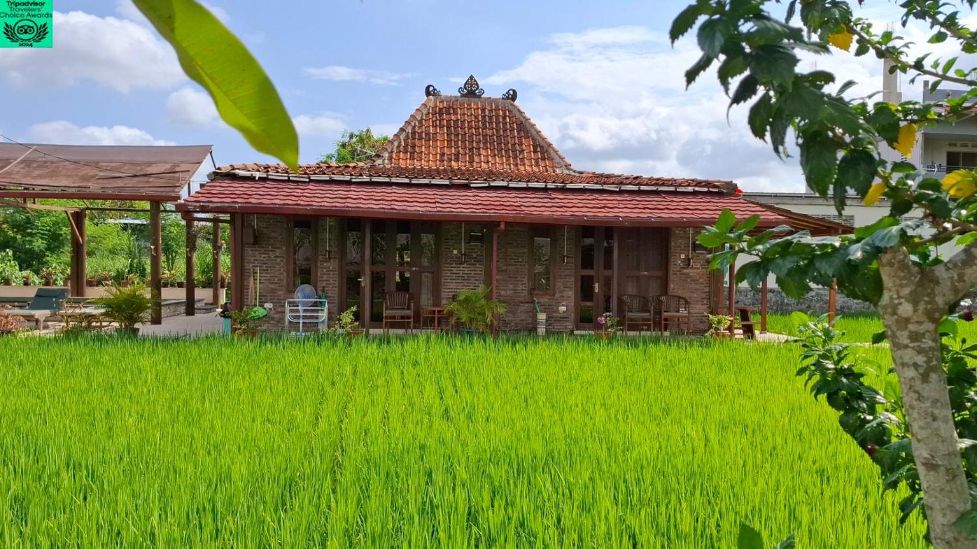 Alamanda Family Villas, Pool & Local Tours Jogjacarta Exterior foto