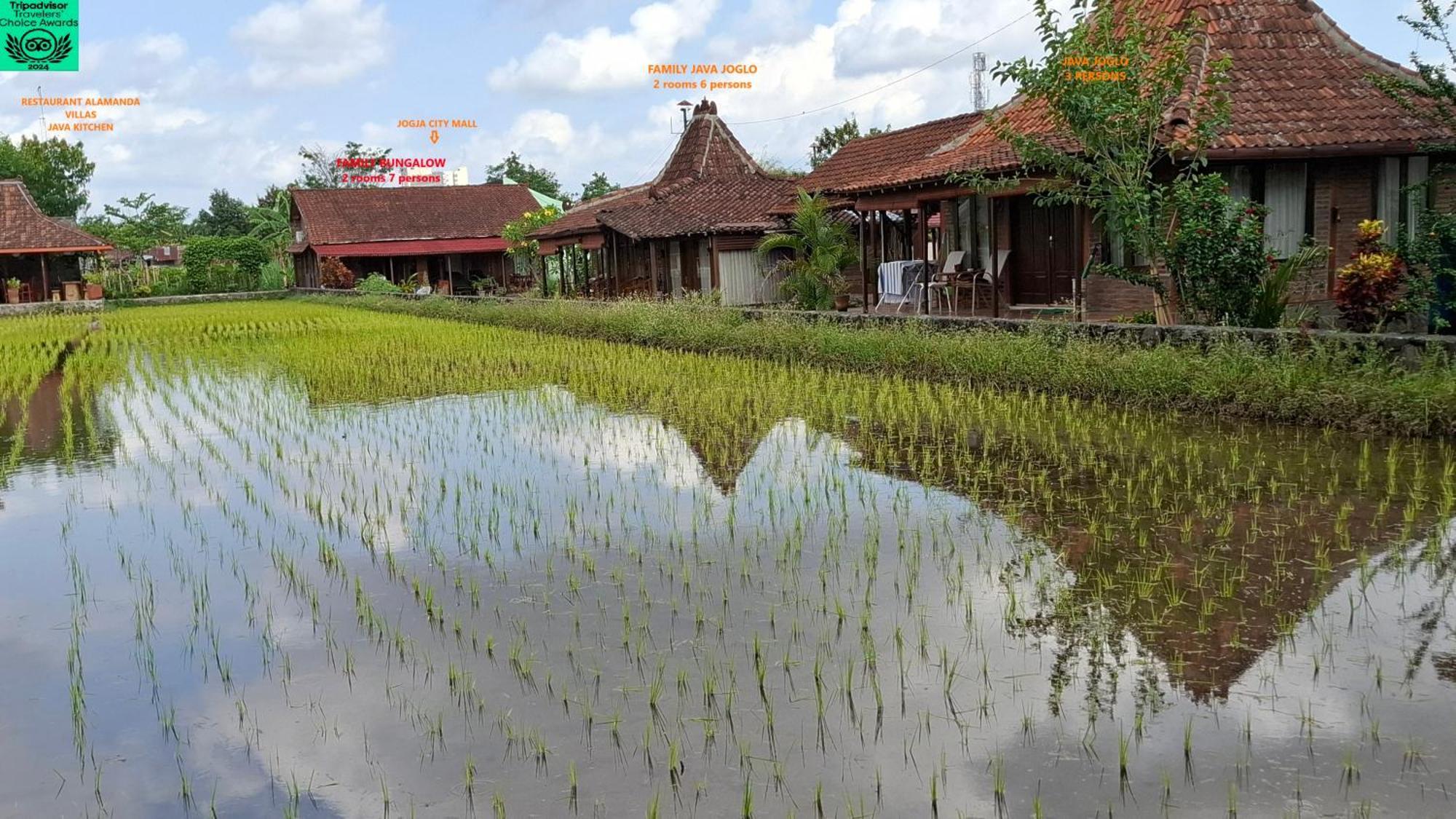 Alamanda Family Villas, Pool & Local Tours Jogjacarta Exterior foto